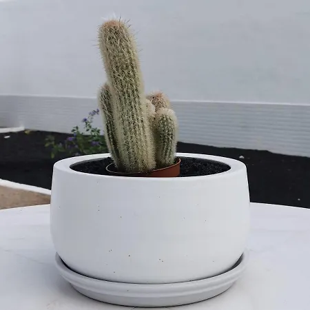 Anjomacar A Lejlighed *