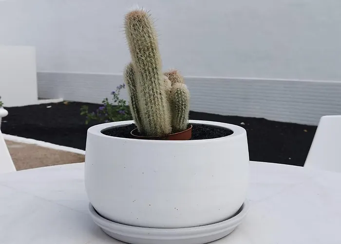 Anjomacar A Appartamento *